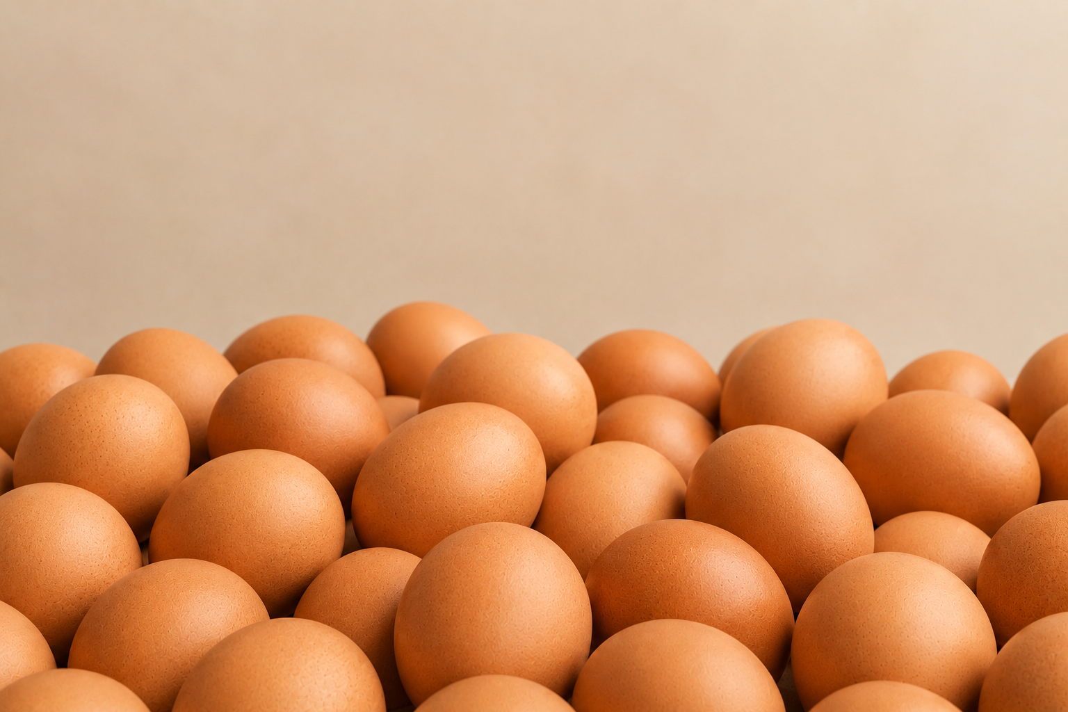 Fresh Eggs on Farm